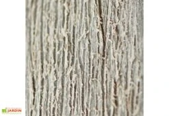 Armoire Haute Brossium En Résine (140 X 73,6 X 170) -Garanti Jardin Magasin armoire jardin brossium chalet jardin effet bois vieilli 1