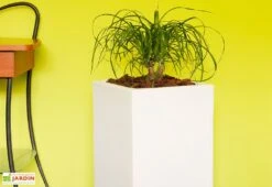 Pot De Fleurs En Polyéthylène Atlantis – 30 X 30 X 47 Cm -Garanti Jardin Magasin bac a fleurs blanc 2