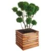 Bac à Fleurs En Bois Lign Z 60 (60x60x50cm) -Garanti Jardin Magasin bac a fleurs en bois