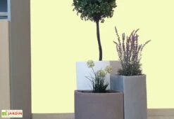 Pot De Fleurs En Polyéthylène Petalo - Ø 50 X 50 Cm -Garanti Jardin Magasin bac a fleurs tabac gris blanc