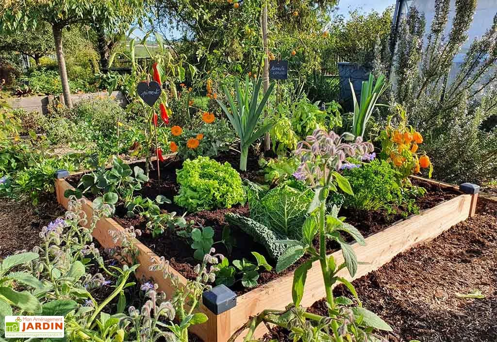 Garanti Jardin Magasin 20 Garanti Jardin Magasin -Garanti Jardin Magasin carre potager bois douglas 1