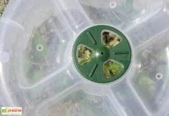 Cloche Potagère à Forcer Modulo ø35 Cm (lot De 3) -Garanti Jardin Magasin cloche potagere modulo 2