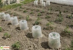 Cloche Potagère à Forcer Modulo ø35 Cm (lot De 3) -Garanti Jardin Magasin cloche potagere modulo 3