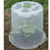 Cloche Potagère à Forcer Modulo ø35 Cm (lot De 3) -Garanti Jardin Magasin cloche potagere modulo 35 polypropylene mini serre