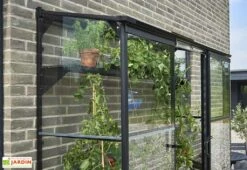 Halls Serre De Jardin Adossée En Verre Trempé Qube Lean-to 26 – 1,2 M² -Garanti Jardin Magasin detail serre jardin murale verre