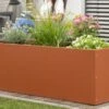 Jardinière Rectangulaire En Métal Thermolaqué Couleur Rouille -Garanti Jardin Magasin exterieur jardiniere profil rouille hg