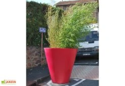 Pot De Fleurs En Plastique Colors Open L Simple Ou Double Paroi (Ø120 X 120 Cm) 7 Pot De Fleurs En Plastique Colors Open L Simple Ou Double Paroi (Ø120 X 120 Cm) -Garanti Jardin Magasin grand pot fleurs double paroi