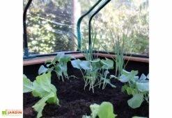 Axi Table De Culture En Bois De Hemlock + Bâche Plastique - 110 X 93 X 99 Cm -Garanti Jardin Magasin interieur mini serre sur pieds bois