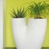 Pot De Fleurs En Polyéthylène Bilobo – 50 X 25 X 50 Cm 2 Pot De Fleurs En Polyéthylène Bilobo – 50 X 25 X 50 Cm -Garanti Jardin Magasin jardiniere blanche 1