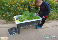 Jardinière Enfant Calipso Mini Junior + Panier Et Acc. – Bleu Pastel -Garanti Jardin Magasin jardiniere enfant calipso 40l panier kajo 4l bleu pastel 2