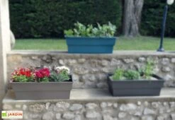 Jardinière Calipso Maxi Basic 40L + Pieds Amovibles – Taupe -Garanti Jardin Magasin jardiniere polypropylene 40l pieds amovibles calipso maxi basic taupe 3