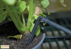 Kit D'irrigation Goutte à Goutte Pour Serre De Jardin Palram-Canopia -Garanti Jardin Magasin kit irrigation goutte a goutte palram canopia