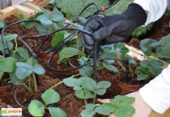 Kit D'irrigation Goutte à Goutte Pour Serre De Jardin Palram-Canopia -Garanti Jardin Magasin kit irrigation serre palram 10m