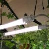 Lampe Horticole LED UV Et Infrarouge – Brighton 2 Lampe Horticole LED UV Et Infrarouge – Brighton -Garanti Jardin Magasin lampe horticole led croissance plantes canopia palram brighton