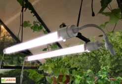 Lampe Horticole LED UV Et Infrarouge – Brighton