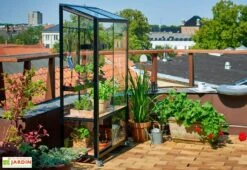Mini Serre De Jardin En Verre Trempé – Juliana City -Garanti Jardin Magasin mini serre jardin verre trempe aluminium juliana city