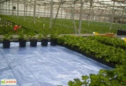 Nappe Chauffante En Aluminium – Largeur 120 Cm (9 Dimensions) -Garanti Jardin Magasin nappe chauffante aluminium largeur 20 cm 9 dimensions 2