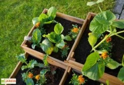 Carré Potager En Bois Autoclave à étages 4 Compartiments - 90 X 90 X 46 Cm -Garanti Jardin Magasin plantes potager 4 compartiments