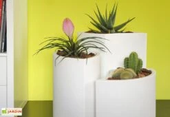 Pot De Fleurs En Polyéthylène Petalo - Ø 50 X 50 Cm -Garanti Jardin Magasin pot de fleurs blanc 5