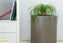 Pot De Fleurs En Polyéthylène Atlantis – 30 X 30 X 47 Cm -Garanti Jardin Magasin pot de fleurs gris 6