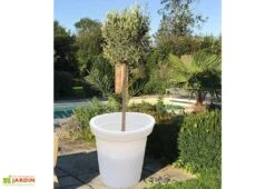 Pot De Fleur En Polyéthylène Delight Ø 80 Cm (200 L) -Garanti Jardin Magasin pot fleur polyethylene delight 80cm 200l