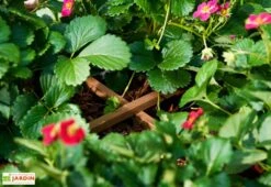 Carré Potager Sur Pieds En Bois Autoclave Brun - 75 X 75 X 79 Cm -Garanti Jardin Magasin potager bois surelever 1