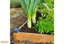 Carré Potager En Bois Douglas Non Traité Premium – 73 L 5 Carré Potager En Bois Douglas Non Traité Premium – 73 L -Garanti Jardin Magasin potager semi enterre en bois