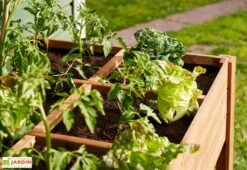 Carré Potager En Bois Autoclave Sur Pieds 120 X 80 Cm H. 88 Cm - Ventspils -Garanti Jardin Magasin separateur bac potager bois ekju 253478