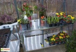 Serre De Jardin En Aluminium Et Polycarbonate Glory 4,7 M² - Grise -Garanti Jardin Magasin serre jardin aluminium polycarbonate glory 4 7 m 3