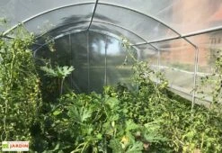 Serre Tunnel Tonneau En Polyéthylène 9 M² - 4 Saisons 3 X 3 M -Garanti Jardin Magasin serre jardin tunnel polyethylene tonneau 4 saisons 3m