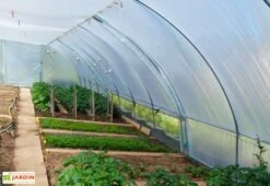 Serre Tunnel En Acier Et Polyéthylène Bretagne Avec Aérations – Largeur 5,80 M 7 Serre Tunnel En Acier Et Polyéthylène Bretagne Avec Aérations – Largeur 5,80 M -Garanti Jardin Magasin serre tunnel acier polyethylene bretagne aerations largeur 580m