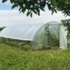 Serre Tunnel Tonneau En Polyéthylène 40 M² - Gothique 9 X 4,5 M -Garanti Jardin Magasin serre tunnel gothique tonneau polyethylene 9x4 5m
