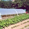 Serre Tunnel Tonneau En Polyéthylène 44 M² - Mini 12 X 3,7 M -Garanti Jardin Magasin serre tunnel mini 3 7x12