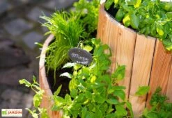 Spirale Aromatique – Jardinière En Bois De Mélèze Ø55 Cm -Garanti Jardin Magasin spirale aromatique jardiniere bois 55cm