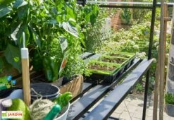 Table De Jardinage En Aluminium Pour Serre Halls Qube 66 (64 X 182 Cm) -Garanti Jardin Magasin table culture aluminium serre halls qube 66 64 182 cm 3