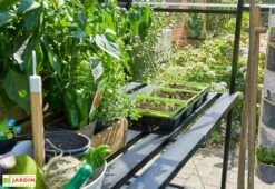 Table De Jardinage Aluminium Pour Serre Halls Qube 610 (64 X 306 Cm)