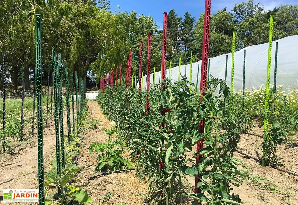 Tuteur Avec Attaches Mikado Vert Anis 150 Cm (Lot De 6) 4 Tuteur Avec Attaches Mikado Vert Anis 150 Cm (Lot De 6) – Image 2