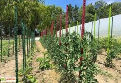 Tuteur Avec Attaches Mikado Anthracite 150 Cm (Lot De 6) 7 Tuteur Avec Attaches Mikado Anthracite 150 Cm (Lot De 6) -Garanti Jardin Magasin tuteurs tomates colores plastique 150cm 2