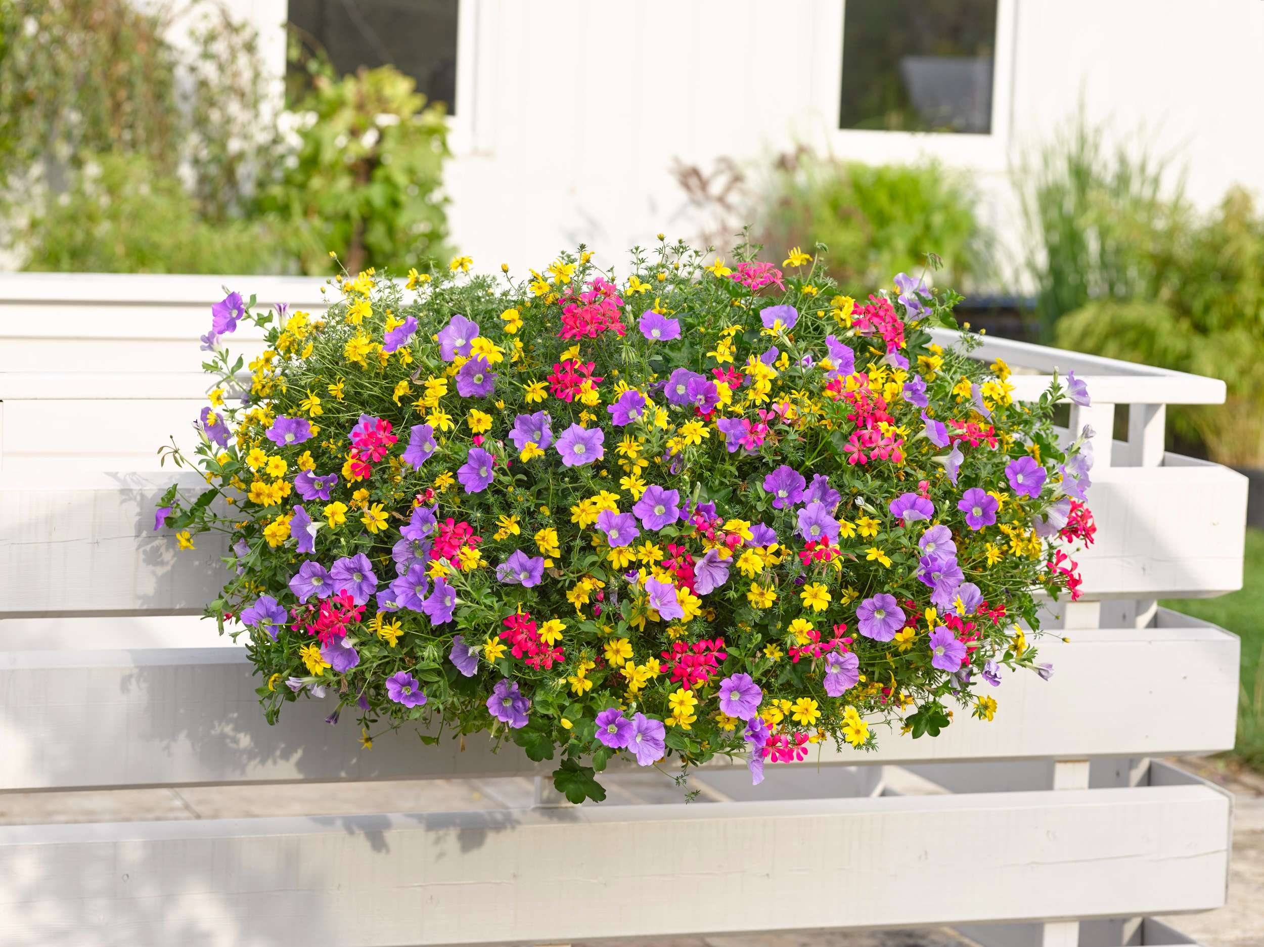 Garanti Jardin Magasin 1 Garanti Jardin Magasin -Garanti Jardin Magasin Tropical b